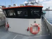 Katamaran til salg
