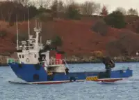 Arbejdsbåde til salg