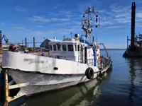 Bugserbåd til salg