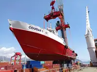 Containerskib til salg