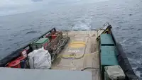 Patruljebåd til salg