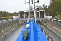 Krydstogtskib til salg