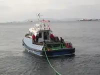 Bugserbåd til salg