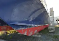 Katamaran til salg