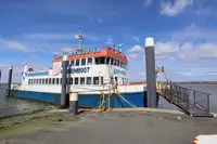 Krydstogtskib til salg