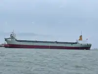 Containerskib til salg