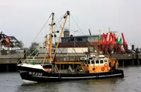 Trawler til salg