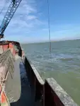 Dredge til salg