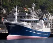 Purse seiner til salg