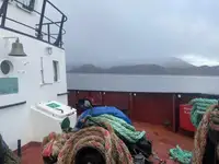 Trækbåd til salg