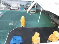 Trawler til salg