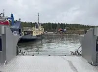 Katamaran til salg