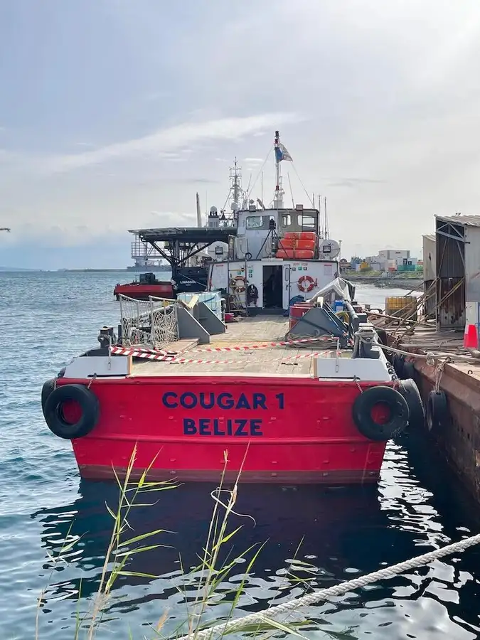 Containerskib til salg