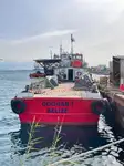 Containerskib til salg