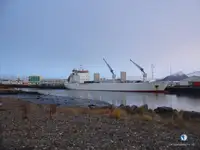 Kølefartøj til salg