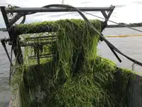 Tanker til ballastvand til salg