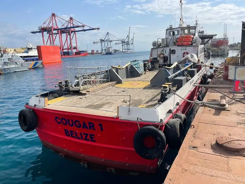 Containerskib til salg