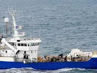 Trawler til salg