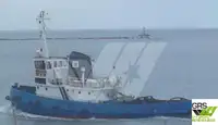 Trækbåd til salg