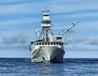 Purse seiner til salg