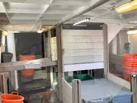 Levende fisketransportskib til salg