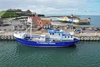 Trawler til salg