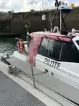 Lodsbåd til salg
