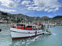 Trawler til salg