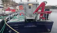 Arbejdsbåde til salg