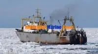 Kølefartøj til salg