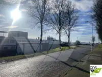 Krydstogtskib til salg