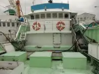Langliner til salg