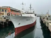 Trawler til salg