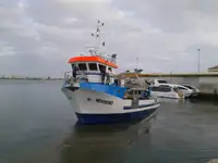 Bugserbåd til salg