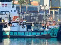Purse seiner til salg