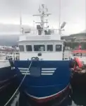Arbejdsbåde til salg