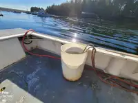 Fiskeforarbejdningsfartøj til salg