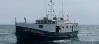 Trækbåd til salg