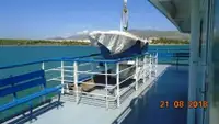 Ro-Ro ship til salg