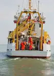 Containerskib til salg