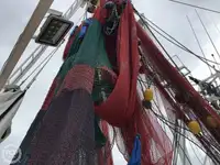 Trawler til salg