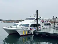Passagerskib til salg
