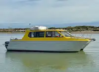 Passagerskib til salg