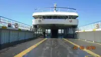 Ro-Ro ship til salg