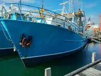 Trawler til salg