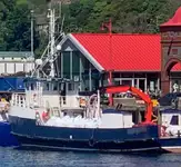 Arbejdsbåde til salg