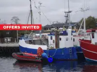 Beam-trawler til salg