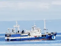 Trawler til salg