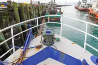 LNG-tankskib til salg