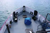 General Cargo/Multi-purpose til salg